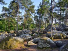 Calme et Bien être à Fontainebleau