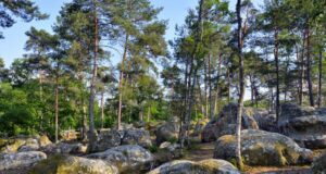 Calme et Bien être à Fontainebleau
