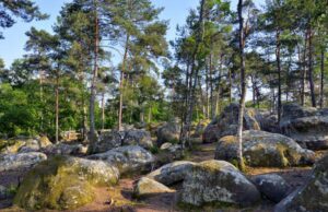 Calme et Bien être à Fontainebleau
