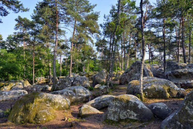 fontainebleau