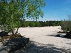 Réveiller ses sens à Fontainebleau