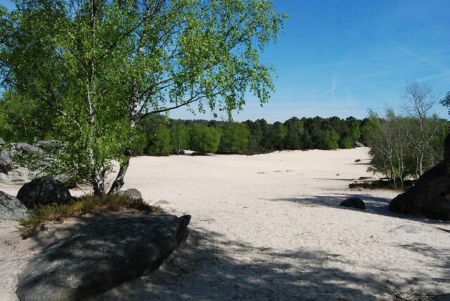 fontainebleau_cul_de_chien
