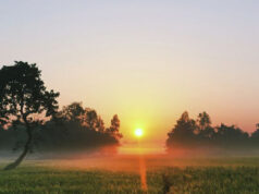 Voyager, c’est la vie ! (édito)