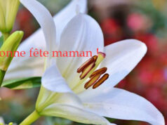 La Fête des mères, c’est le 30 mai !