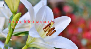 La Fête des mères, c’est le 30 mai !