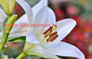 La Fête des mères, c’est le 30 mai !