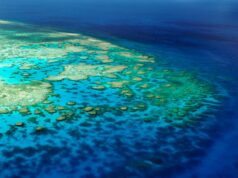 L’Australie vient à nous !