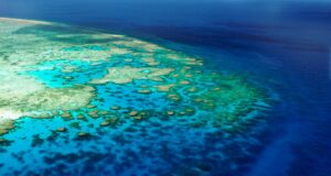 L’Australie vient à nous !