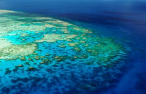 L’Australie vient Ă nous !