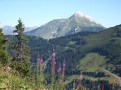 Micro aventures à vivre à Avoriaz 1800