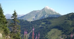 Micro aventures à vivre à Avoriaz 1800