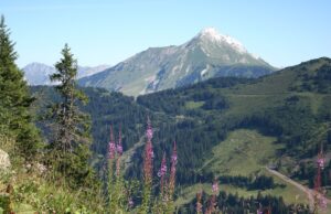 Micro aventures Ă vivre Ă Avoriaz 1800