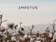 Impetus, automne/hiver 2021/22