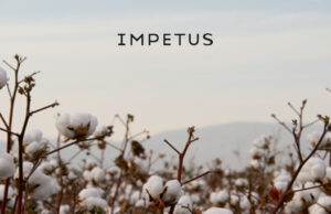 Impetus, automne/hiver 2021/22