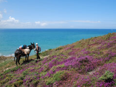 Randonner avec un âne