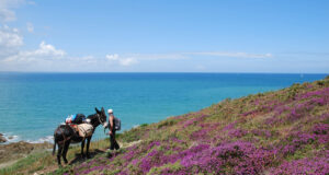 Randonner avec un âne