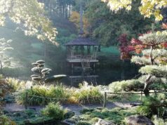 Parc Oriental de Maulévrier : quatre semaines d’un spectacle aux couleurs de l’automne
