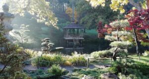 Parc Oriental de Maulévrier : quatre semaines d’un spectacle aux couleurs de l’automne