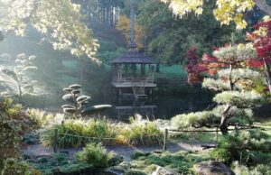 Parc Oriental de Maulévrier : quatre semaines d’un spectacle aux couleurs de l’automne