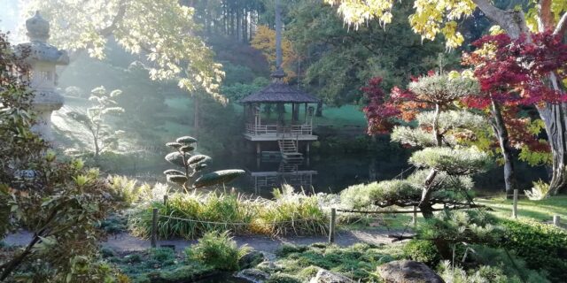 Parc-Oriental-de-Maulevrier-oct-2020-credit-Parc-oriental-1bd