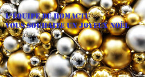 L’équipe de Homactu vous souhaite un Joyeux Noël
