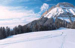 Cet hiver, vivez l’Isère versant nature !