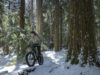 Fat Bike : Le vélo idéal pour les vacances d’été à la montagne et à la mer.