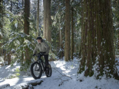 Fat Bike : Le vélo idéal pour les vacances d’été à la montagne et à la mer.