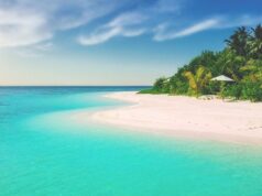 Homactu vous souhaite un bel été