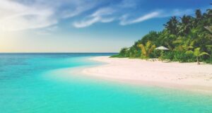 Homactu vous souhaite un bel été