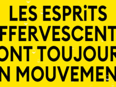 Schweppes nous propose la gamme Sélection, élaborée en collaboration avec des chefs et des bartenders