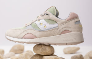 Saucony Shadow 6000 Creek, retour en Pennsylvanie…