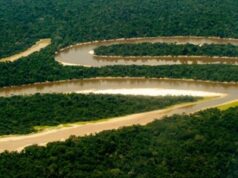 Amazonie péruvienne : à la découverte d’une région méconnue !