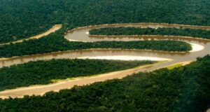 Amazonie péruvienne : à la découverte d’une région méconnue !