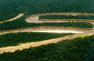 Amazonie pĂ©ruvienne : Ă la dĂ©couverte d’une rĂ©gion mĂ©connue !