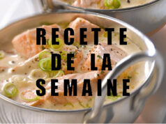 La blanquette de saumon, un plat pour toute la famille !