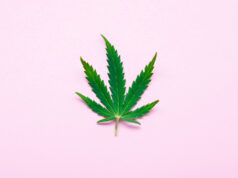 Peut-on véritablement allier CBD et santé ?