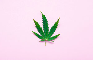 Peut-on véritablement allier CBD et santé ?