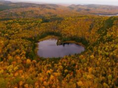 VOYAGER AU QUÉBEC CET AUTOMNE :UN  MERVEILLEMENT DES 5 SENS GARANTI !