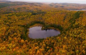 VOYAGER AU QUÉBEC CET AUTOMNE :UN MERVEILLEMENT DES 5 SENS GARANTI !