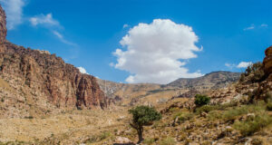 La Jordanie réveille votre envie d’aventure