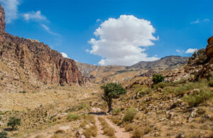La Jordanie réveille votre envie d’aventure