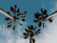 5 raisons de visiter la Californie en 2023