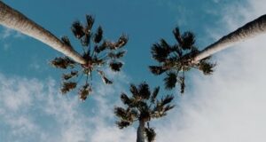 5 raisons de visiter la Californie en 2023