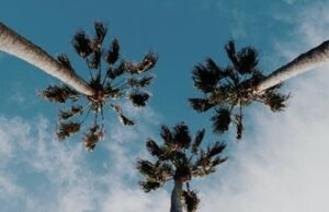 5 raisons de visiter la Californie en 2023
