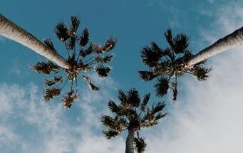 5 raisons de visiter la Californie en 2023