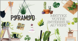 Comment prendre soin de vos plantes pour qu’elles vous le rendent bien