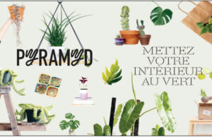 Comment prendre soin de vos plantes pour qu’elles vous le rendent bien