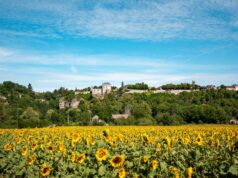 GRAND BOL D’AIR FRAIS DANS L’YONNE