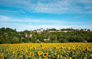GRAND BOL D’AIR FRAIS DANS L’YONNE